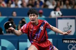 爱游戏APP-包含波兰乒乓球队强势瑞典乒乓球队，张本智和完成帽子戏法的词条