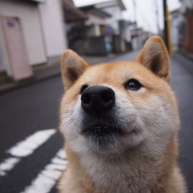 罗德里戈独造三球技惊四座，莱比锡红牛战术完胜比利亚雷亚尔